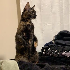 Meet your Posher, John